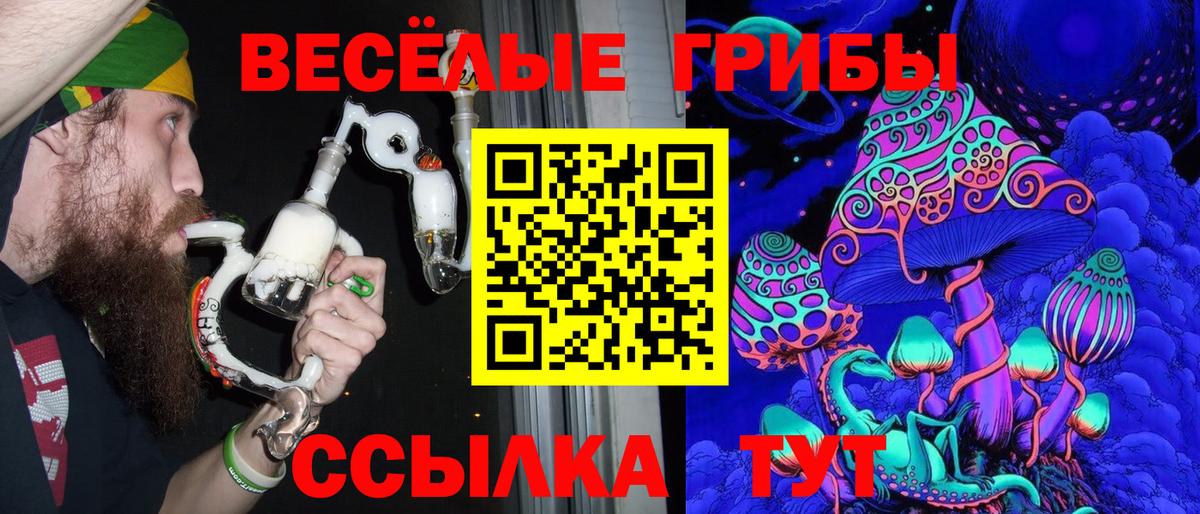 Галлюциногенные грибы Psilocybine cubensis Салехард