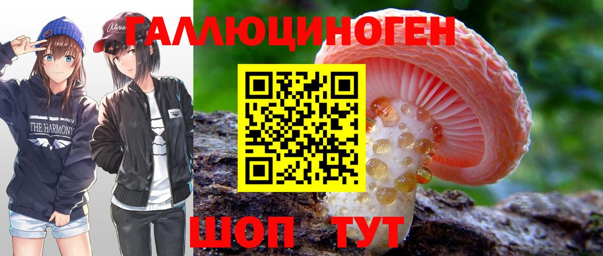 Салехард  Галлюциногенные грибы мицелий  Вход с VPN 